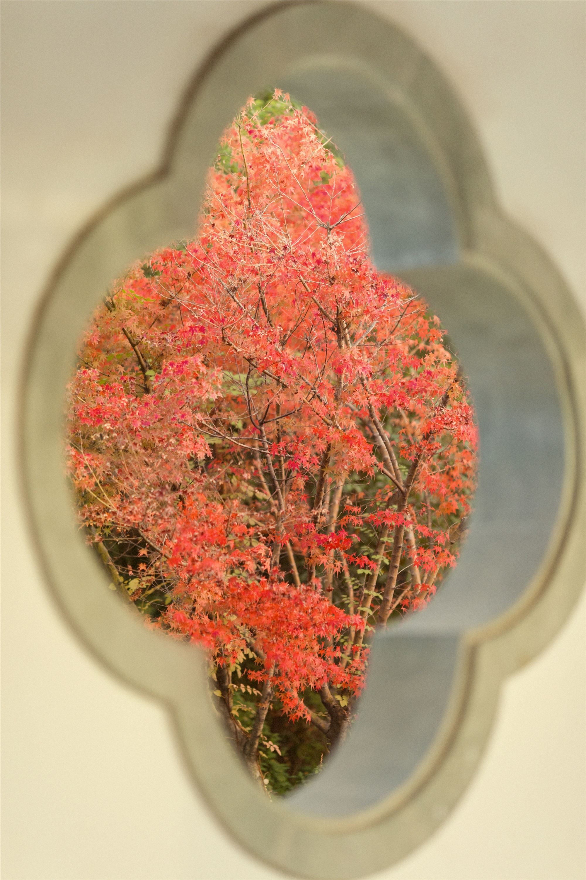 YITUYU艺图语 2021.09.01 丹枫入秋 门门